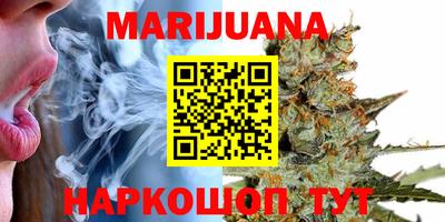 прущие грибы Гусиноозёрск