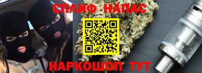 прущие грибы Гусиноозёрск